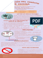 Infografía de Prevención de Cocaina