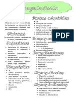 Bronquiectasia: Diagnóstico y Tratamiento