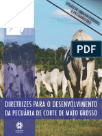 Diretrizes para o Desenvolvimento Da Pecuária de Corte de Mato Grosso