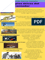 Infografia Principios Del Contador