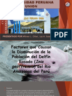 Factores Que Causan La Disminucion Del Delfin Rosado