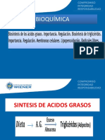 CLASE 2 Biosintesis - de - Acidos - Grasos - 32 - 0 (3) 2019