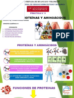 Proteinas y Aminoacidos (1)
