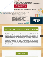 Sistema Buffer