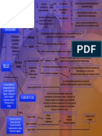 Mapa Conceptual Botánica