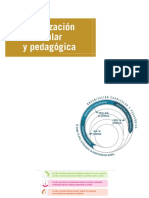 Organizcion Curricular y Pedagogica