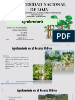 Presentancion de Los Sistemas Agroforestales en El Recurso Hidrico - Cabrera - Iñiguez - Puchaicela