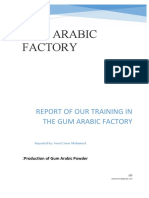 Report of Our Training in The Gum Arabic Factory