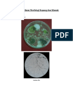 P6. Ok Lembar Evaluasi Morfologi Kapang Dan Khamir