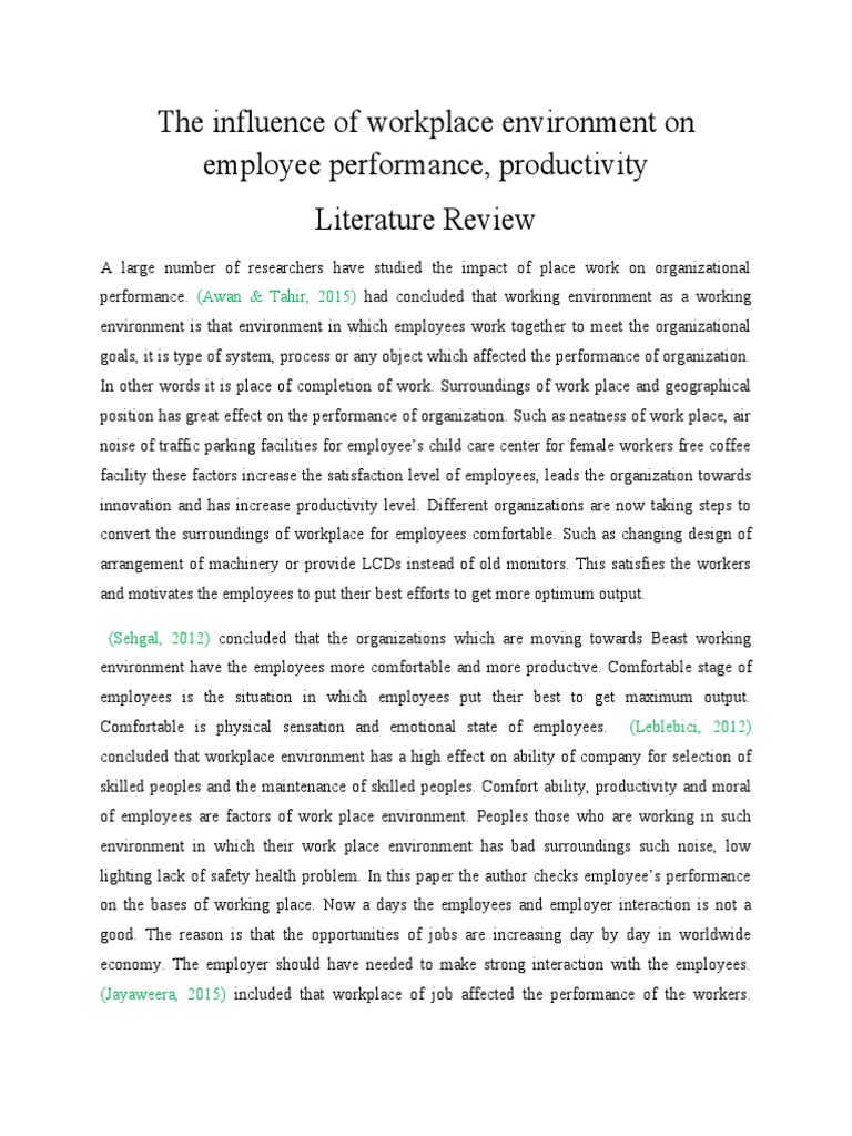 productivity literature review