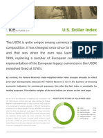 ICE USDX Brochure