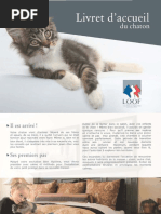Expose Sur Le Chat Pdf Chats Domestication