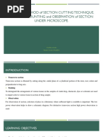 Section Cutting Techniques in Pharmacognosy | PDF | Staining | Leaf