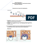 Solución Guia 4 Biologia Del Desarrollo