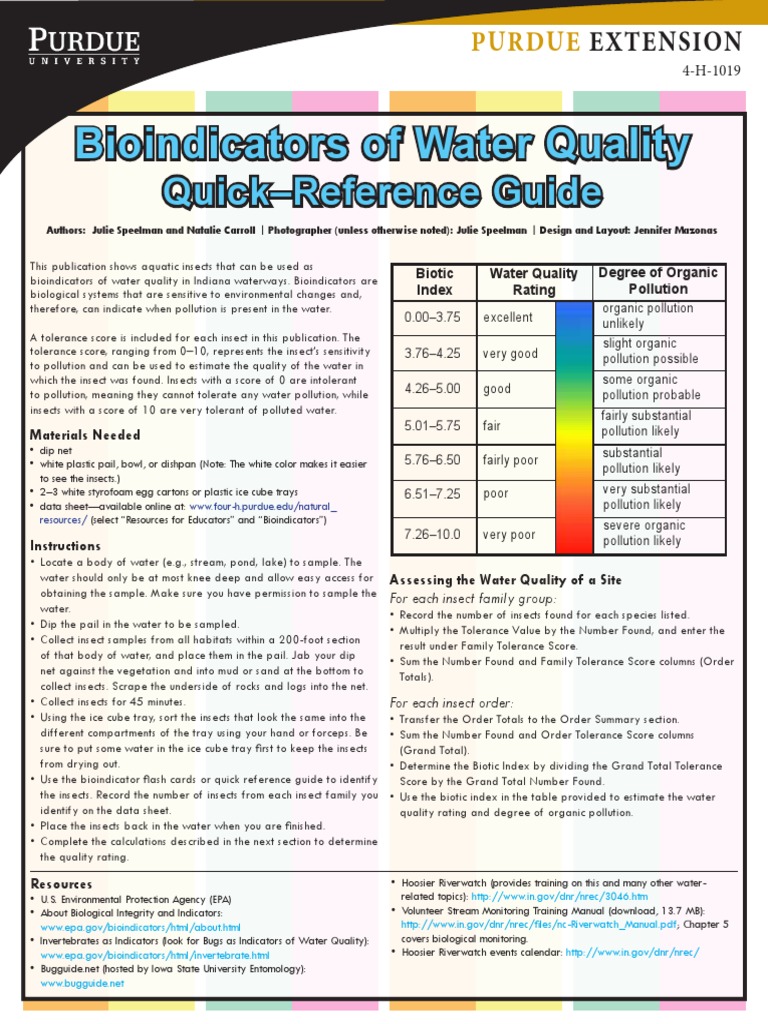 Giant Water Bug as Water Quality Indicator | PDF | Beetle | Water Quality