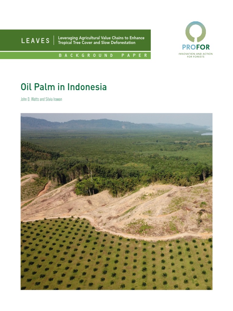 Oil Palm Indonesia Pdf Palm Oil Plantation