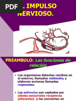 Impulso Nervioso y Sinapsis Explicados | PDF | Potencial de acción ...