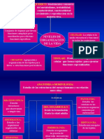 Anatomia y Fisiologia