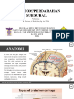 Bimbingan Hematom - Perdarahan Subdural