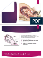 Trabajo de Parto I: Fases, Evaluación y Monitoreo