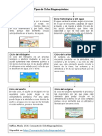 Tipos de Ciclos Biogeoquímicos