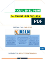 s5 - Teoría - Defensa Civil en El Perú