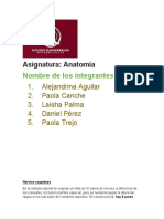 Anatomia Tercer Parcial