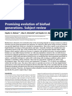 Promising Evolution of Biofuel Generations. Subject Review