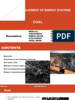 DMES-Coal Final Presentation