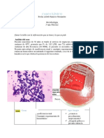 Caso Clinico Instruccion de Cateteres