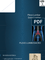 Plexo Lumbar