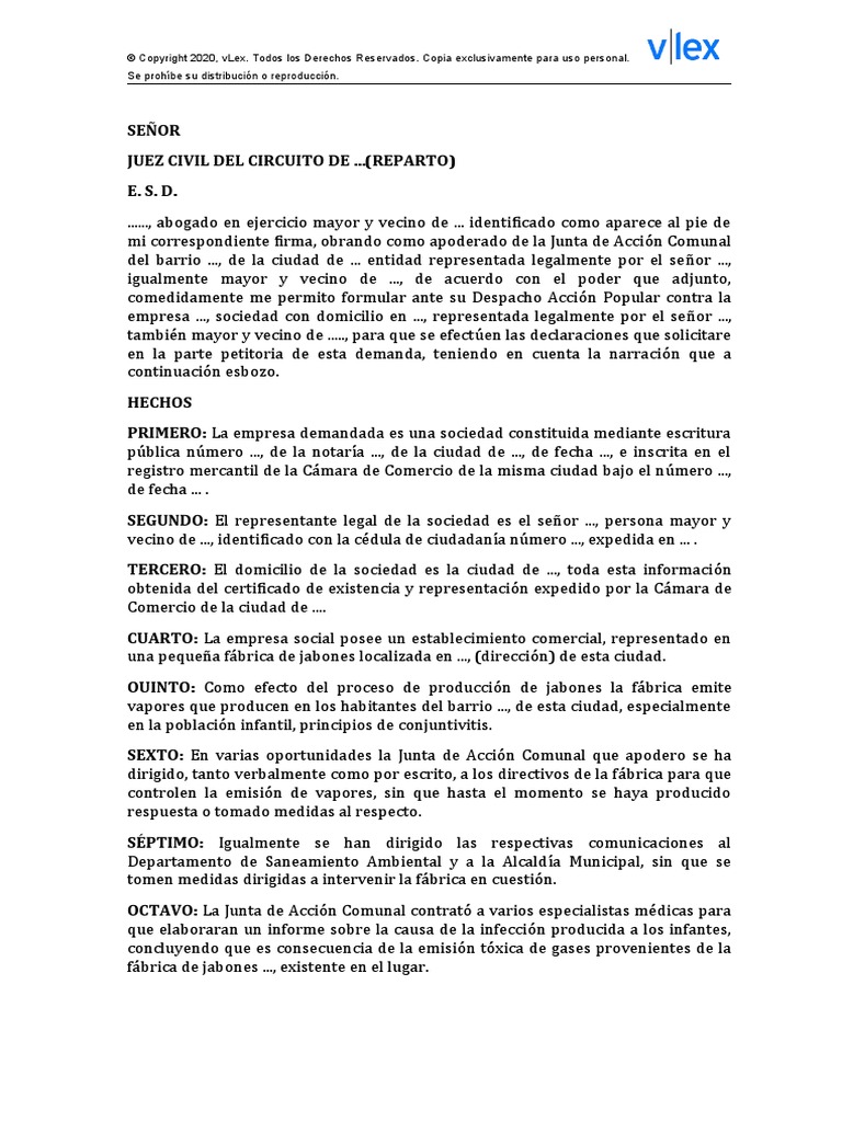 Minuta Accion Popular Competencia Juez Provado | PDF | Derechos de ...