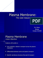 Plasma Membrane Gatekeeper