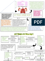 Asthma Pathways - Group 1