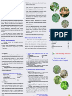 Leaflet Pesnab