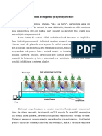 Sistemul Aeroponic