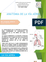 Anatomia de La Via Aerea Completo