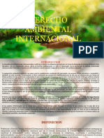 Derecho Ambiental