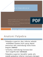PDF PPT Entropion