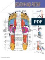 Reflexology Association of Canada - Foot Chart: Plantar View