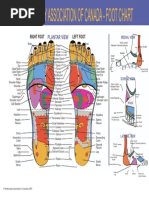 Reflexology Association of Canada - Foot Chart: Plantar View