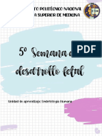 Desarrollo Fetal 5° Semana