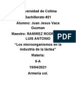 Los Microorganismos en La Industria Lactea