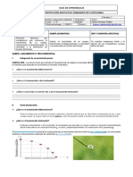 Guía N°2 (Periodo 2) Física 9