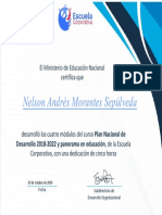 Nelson Morantes PND