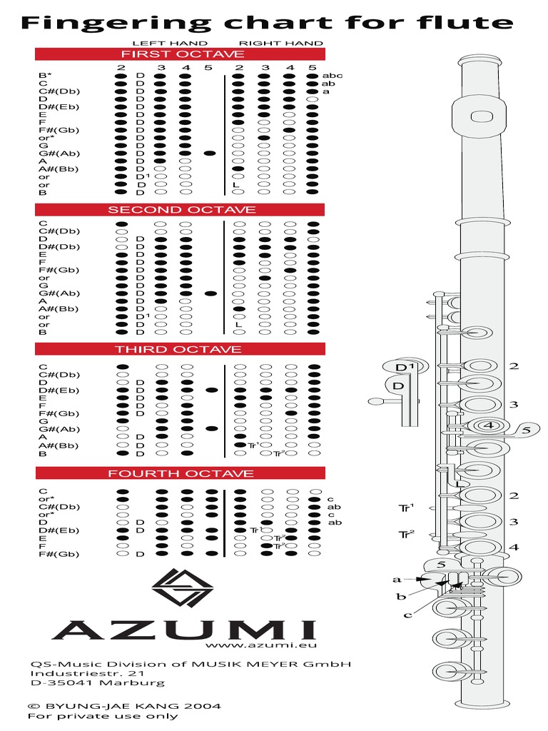 AZUMI Fingering Chart | PDF