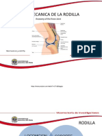 BIOMECANICA DE LA RODILLA Ultima