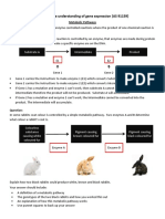 Demonstrate Understanding of Gene Expression (AS 91159) : Substrate A Intermediate Product