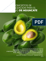 Conceptos Fertilizacion Aguacate