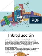 63699192-canales-ionicos